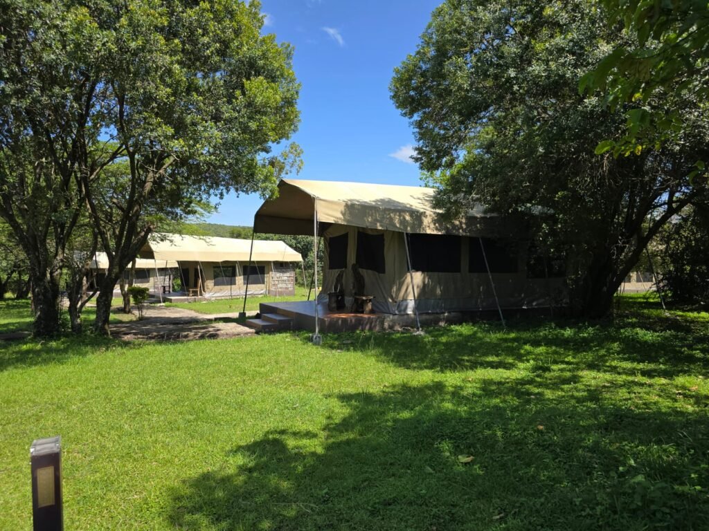 Wild Nest Mara Camp accommodation and garden in the current operator gallery