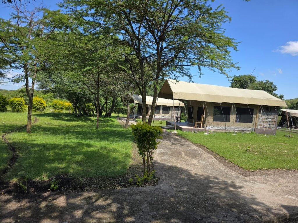 Wild Nest Mara Camp tent exterior with stone bathroom wall, veranda and a garden path