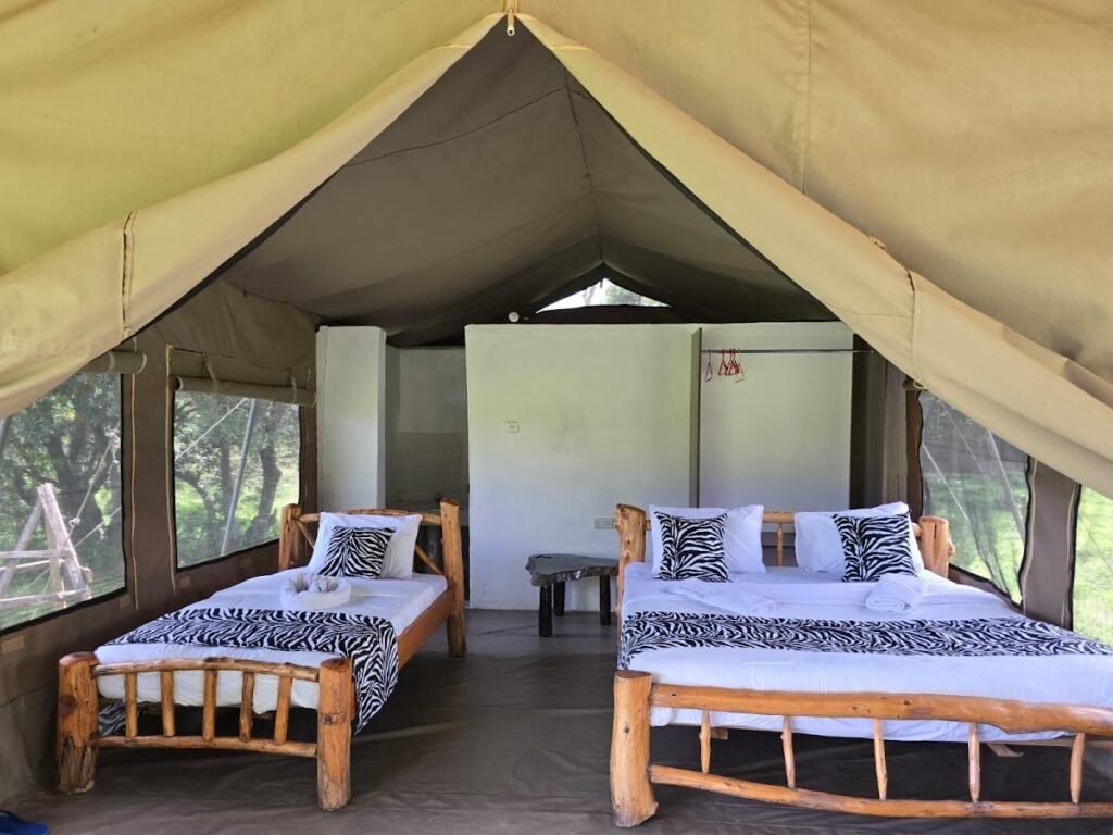 Maasai Mara lodges and camps 127 Wild Nest Mara Camp bedroom with double and single wooden beds, zebra-patterned cushions and canvas walls
