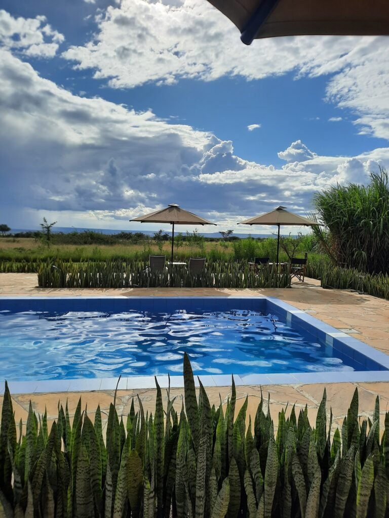 Zebra Plains Mara Camp pool with shaded seating overlooking the plains