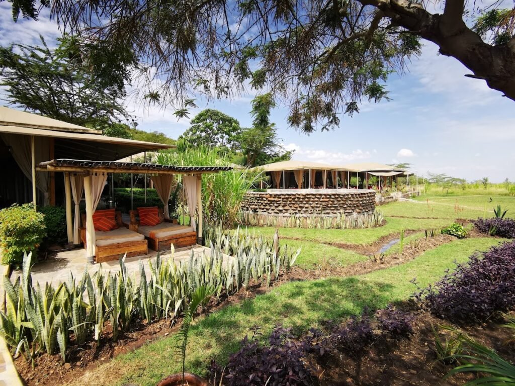 Maasai Mara lodges and camps 130 Zebra Plains Mara Camp outdoor lounges and gardens facing the open plains